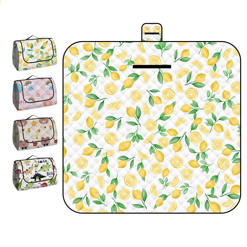 150*200CM Portable Picnic Mat  - Outdoor Camping Quilt 리뷰 및 가격
